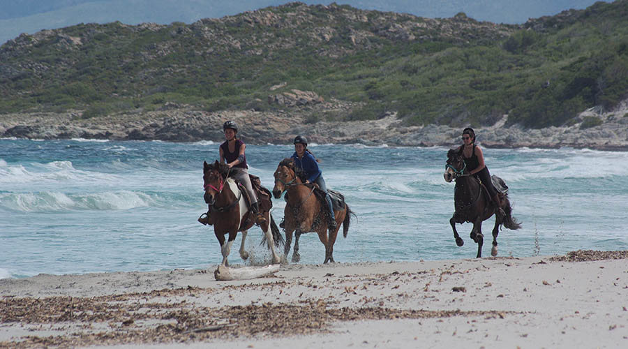France - Corse - Séjour équestre INVITATION À LA RANDO (5 jours à cheval)