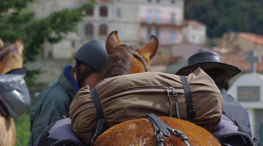 France - Corse - Séjour avec Randonnée Itinérante à Cheval MER ET MONTAGNE (5 jours à cheval)