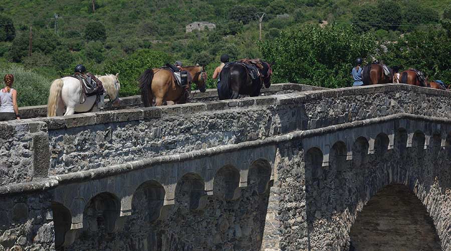 Circuit avec Randonnée Itinérante à Cheval entre lacs et sommets (5 jours à cheval) - 1